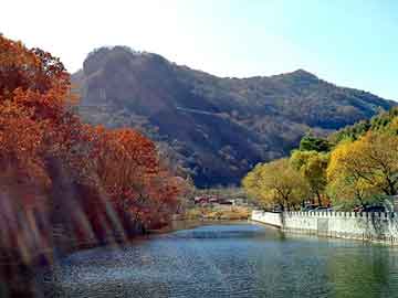 新澳天天开奖资料大全旅游团，黎莲